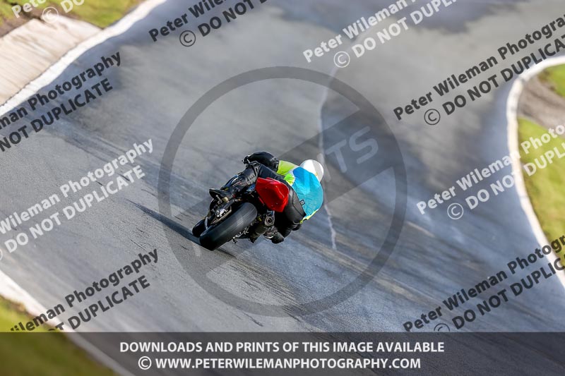 Oulton Park 14th March 2020;PJ Motorsport Photography 2020;anglesey;brands hatch;cadwell park;croft;donington park;enduro digital images;event digital images;eventdigitalimages;mallory;no limits;oulton park;peter wileman photography;racing digital images;silverstone;snetterton;trackday digital images;trackday photos;vmcc banbury run;welsh 2 day enduro